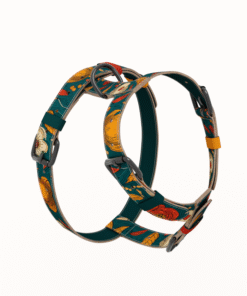 Alternative view of Am za pse - Jesen