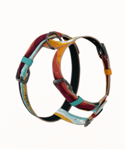 Alternative view of Am za pse - Pustinja