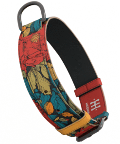 Ogrlica za kućne ljubimce - Orijent 2