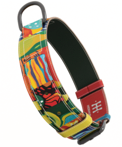 Ogrlica za kućne ljubimce - Mural