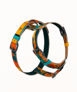 Alternative view of Am za pse - Gogen