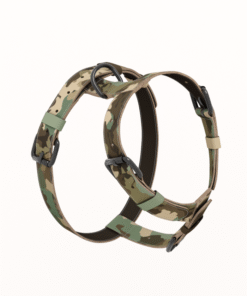 Alternative view of Am za pse - Kamo 03