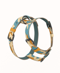 Alternative view of Am za pse - Kamo 02