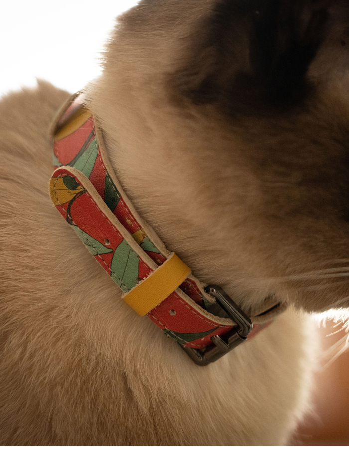 Ogrlica za mačke - Masline - Slika 6