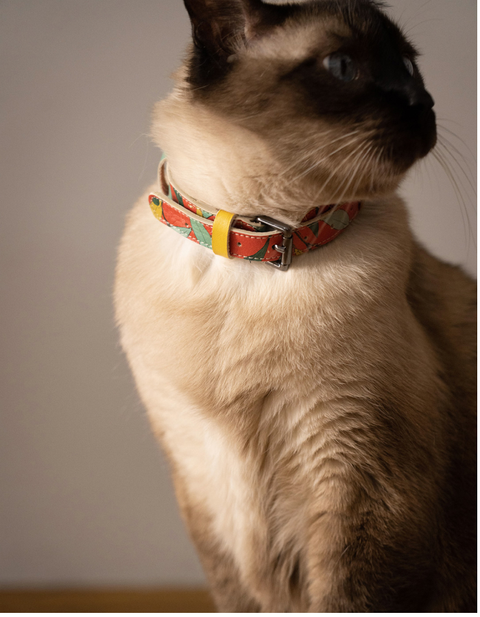 Ogrlica za mačke - Masline - Slika 5