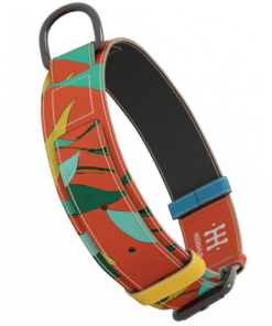 Ogrlica za mačke - Masline